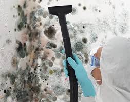 Reliable West Columbia, TX Mold Inspection Solutions